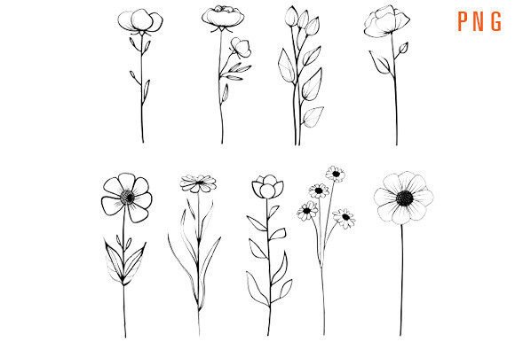 Download Minimal Flowers - Minimal Collection